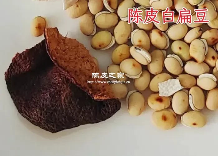 陈皮白扁豆搭配图