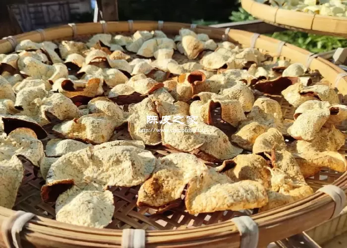 陈皮翻晒示意图2