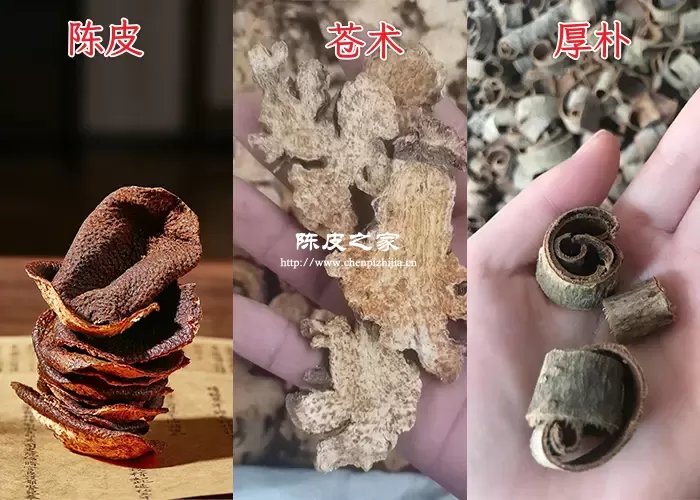 陈皮苍术厚朴搭配图