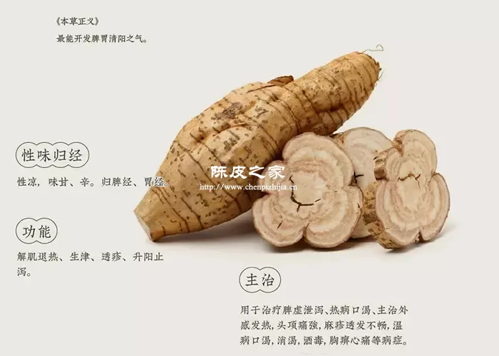 葛根主治功效图解