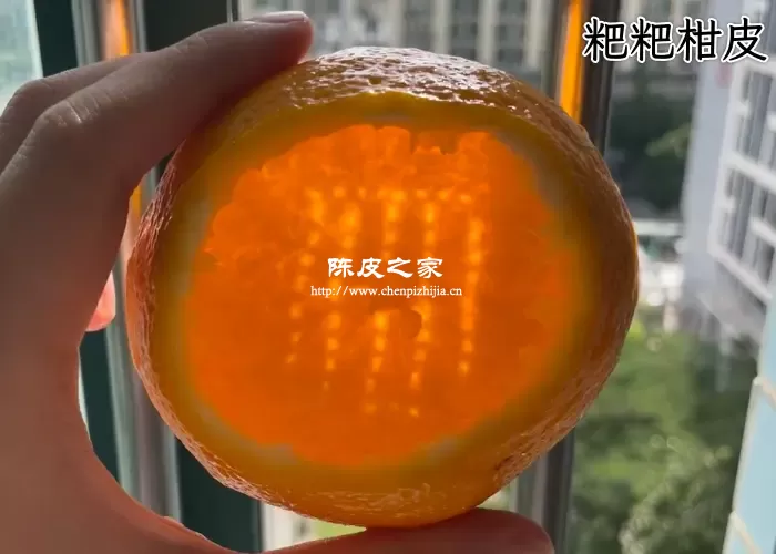 春见耙耙柑的皮能用来做陈皮吗