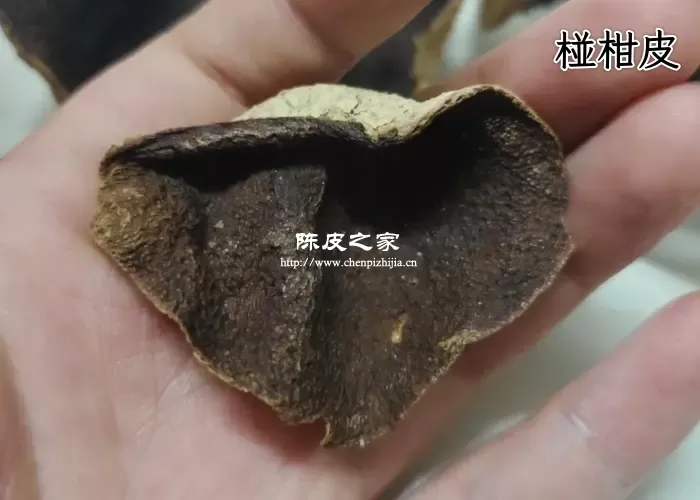 耙耙柑和碰柑哪个做陈皮更好