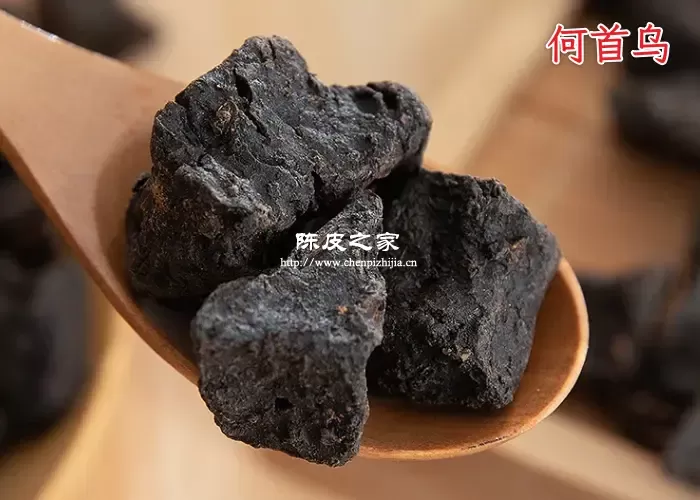 何首乌和陈皮泡水喝可以吗