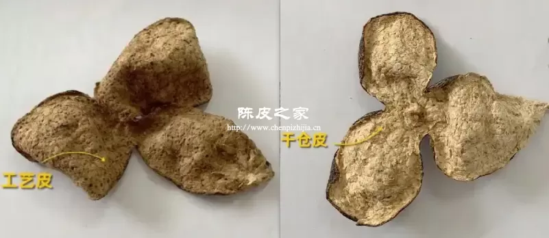 干仓陈皮和湿仓陈皮的区别是什么
