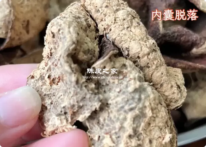 陈皮虫蛀和陈皮内囊脱落有什么不同