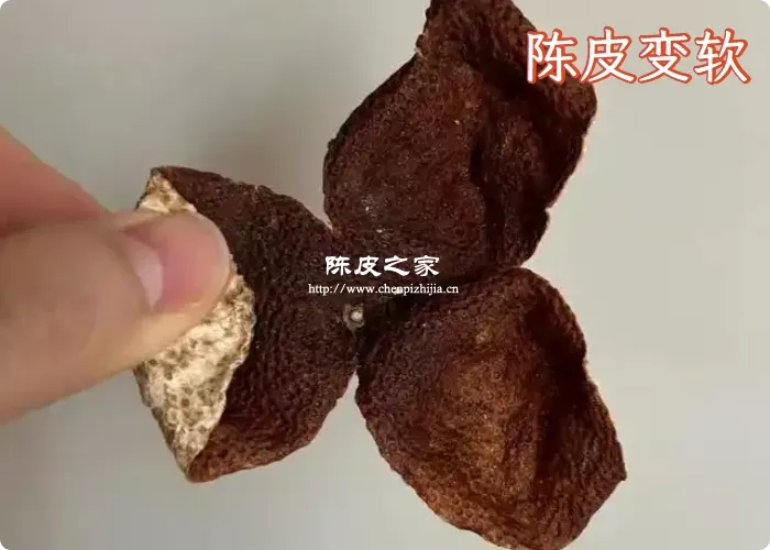 陈皮有点软了是受潮了吗？陈皮受潮后的处理方法