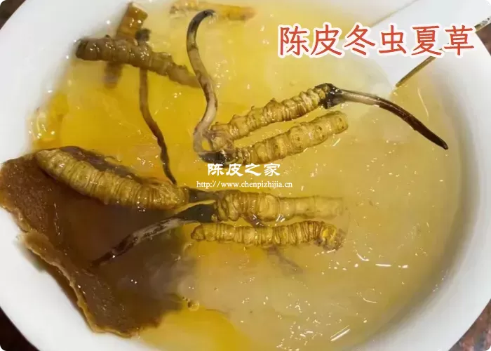 陈皮和冬虫夏草能一块煮着喝吗