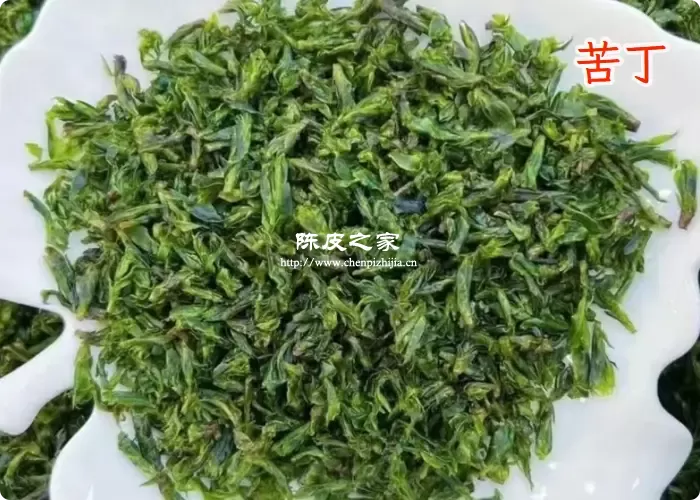 苦丁茶可以加陈皮泡水喝减肥吗