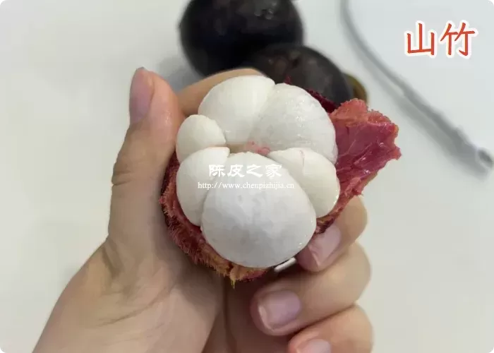陈皮加山竹有什么效果